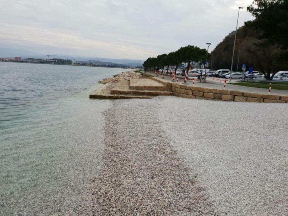 Sobe Al Moletto Lägenhet Koper Exteriör bild